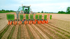 Semis - Planteuses - Planteuse repiqueuse