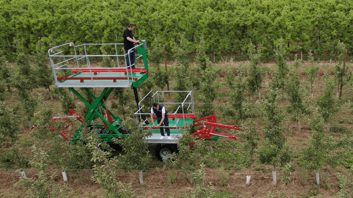 Récolte - Autre matériel de récolte - Plateforme récolte de fruits