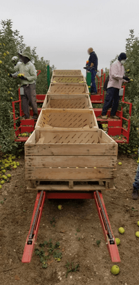 Récolte - Autre matériel de récolte - Plateforme récolte de fruits