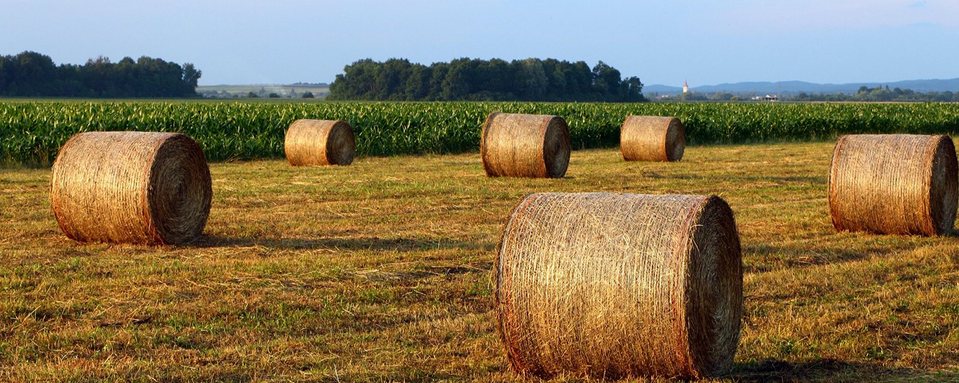 Background image du slider de selection