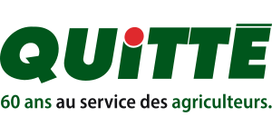 Quitte